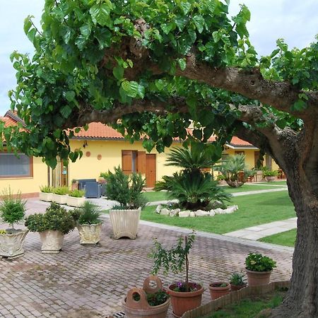 Le Terre Di Bac Bed & Breakfast Borgo Montenero Ngoại thất bức ảnh