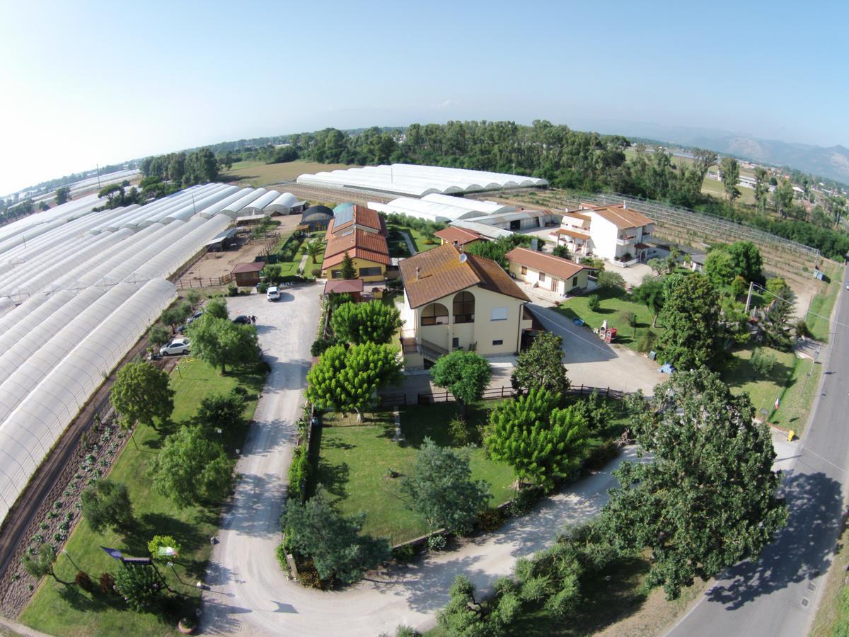 Le Terre Di Bac Bed & Breakfast Borgo Montenero Ngoại thất bức ảnh